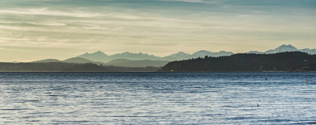 iStock-1136196719 (1)